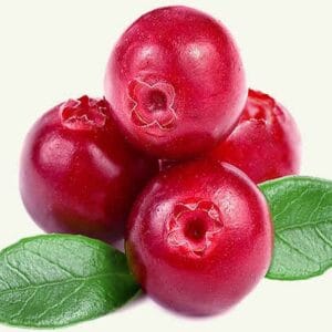 Dzērveņu SPA rituāls (1.p.) (80 min) enerģija, vieglums, gzīvesprieks.